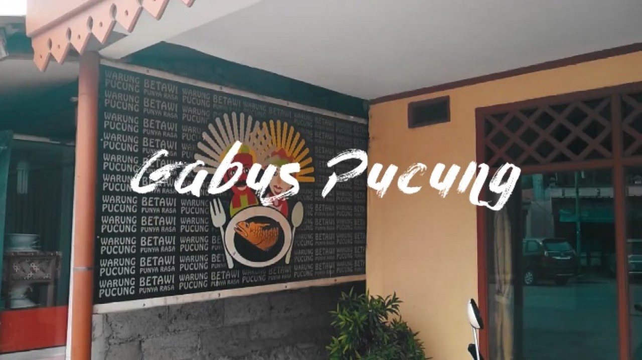 Gabus Pucung - Rekam Indonesia